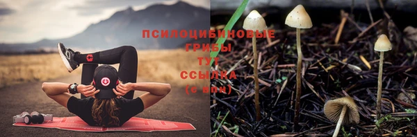 метамфетамин Михайловка