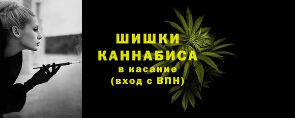 метадон Михайлов